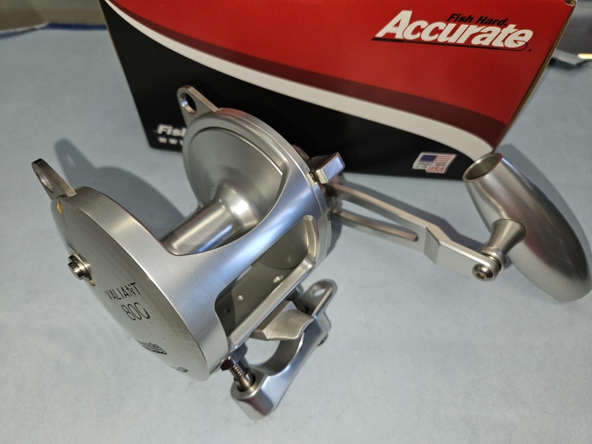 Accurate Valiant Reel BV2-800 Silver with 3.8
