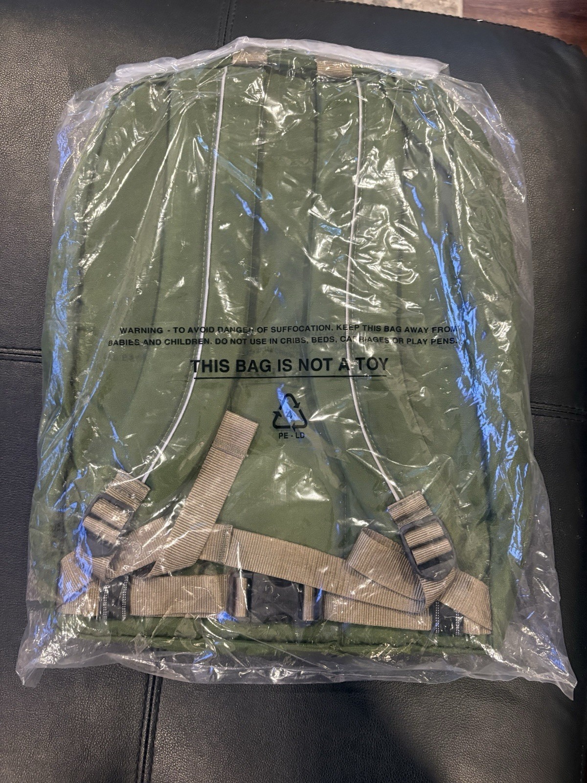 LL Bean Canoe Green Back Pack NWT