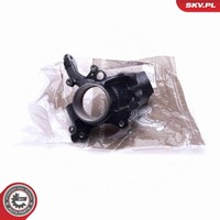 Achsschenkel RadaufhäNgung Esen Skv 47SKV042 FüR Vw New Beetle 9C1 1C1 Bora 1J6
