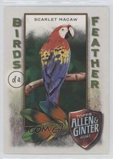 2021 Topps Allen & Ginter's Birds of a Feather Scarlet Macaw #BOF-3 0uf1