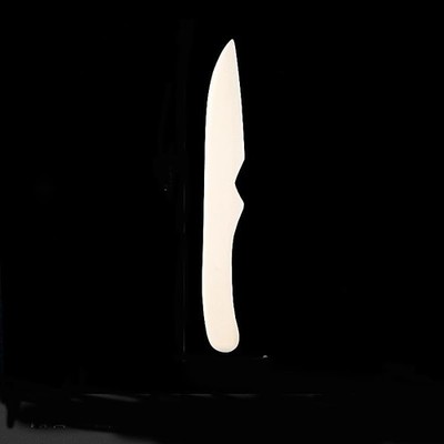 Bone Folder & Creaser Tool - Scoring, Folding for Origami, Paper white 