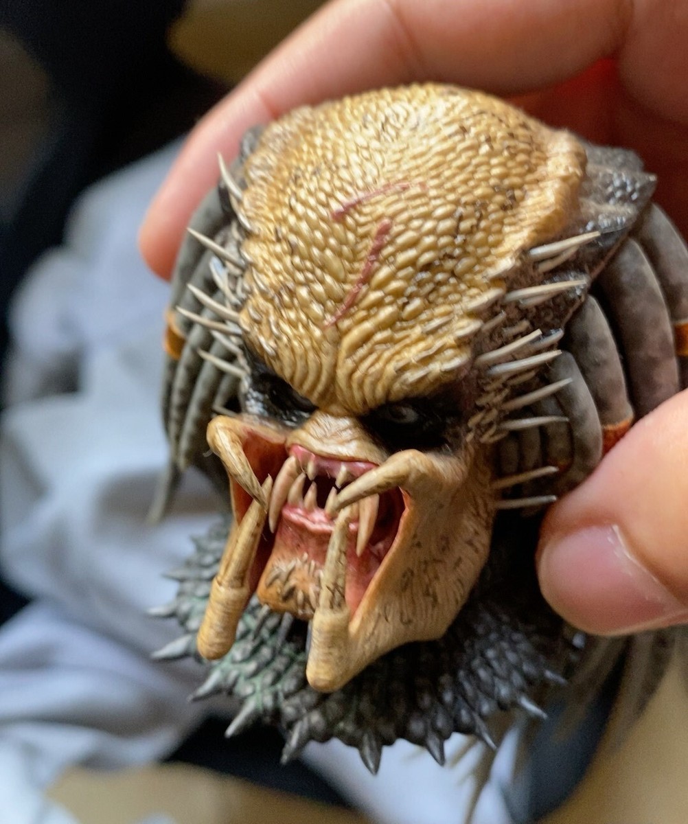 1/6 Head Sculpt Figure Hot Toys MMS325 AVP Elder Predator