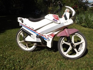 roadmaster bike 20 inch