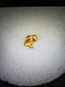 Pure Gold Nugget California Natural Small Gold Nugget .088 of a Gram, Beautiful!