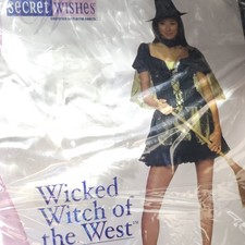 SECRET WISHES WICKED WITCH OF THE WEST COSTUME