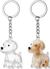 Pet Hair Keepsake Keychain 2 Pack Diy Memorial Capsule for Dog