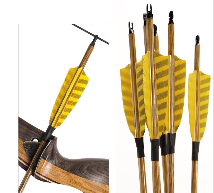 Flèche Take Down Carbone 30" SP500 – Pour Arc à Poulies Ou Arc Classique – Linkboy Archery