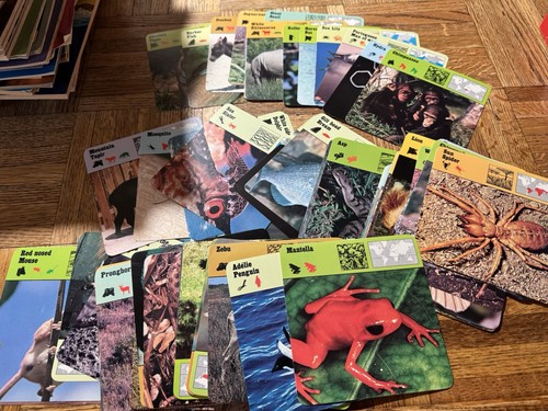 EUC! Vintage Rencontre Wildlife Safari Cards Lot 1975-77 Various Animals