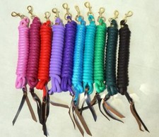 14' leather ends Nylon Training Lead Rope w/brass snap New Bright Colors