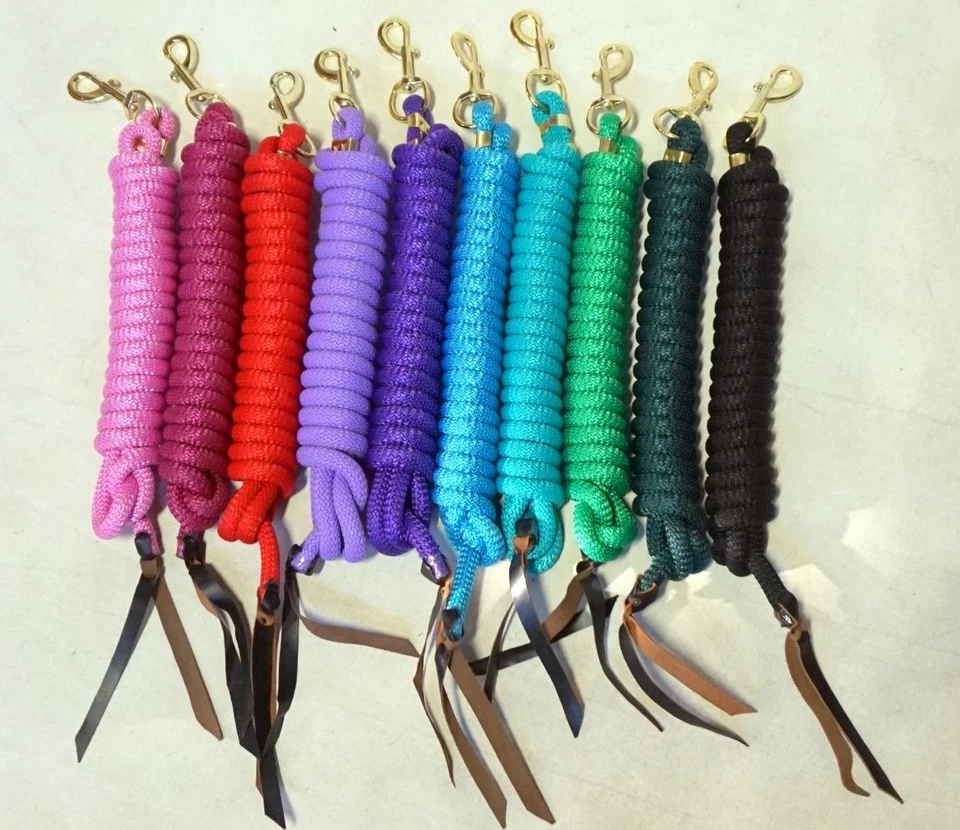 14' Lederenden Nylon Training Führstrick mit Messing Druckknopf Neu Helle Farben - Bild 1 von 1