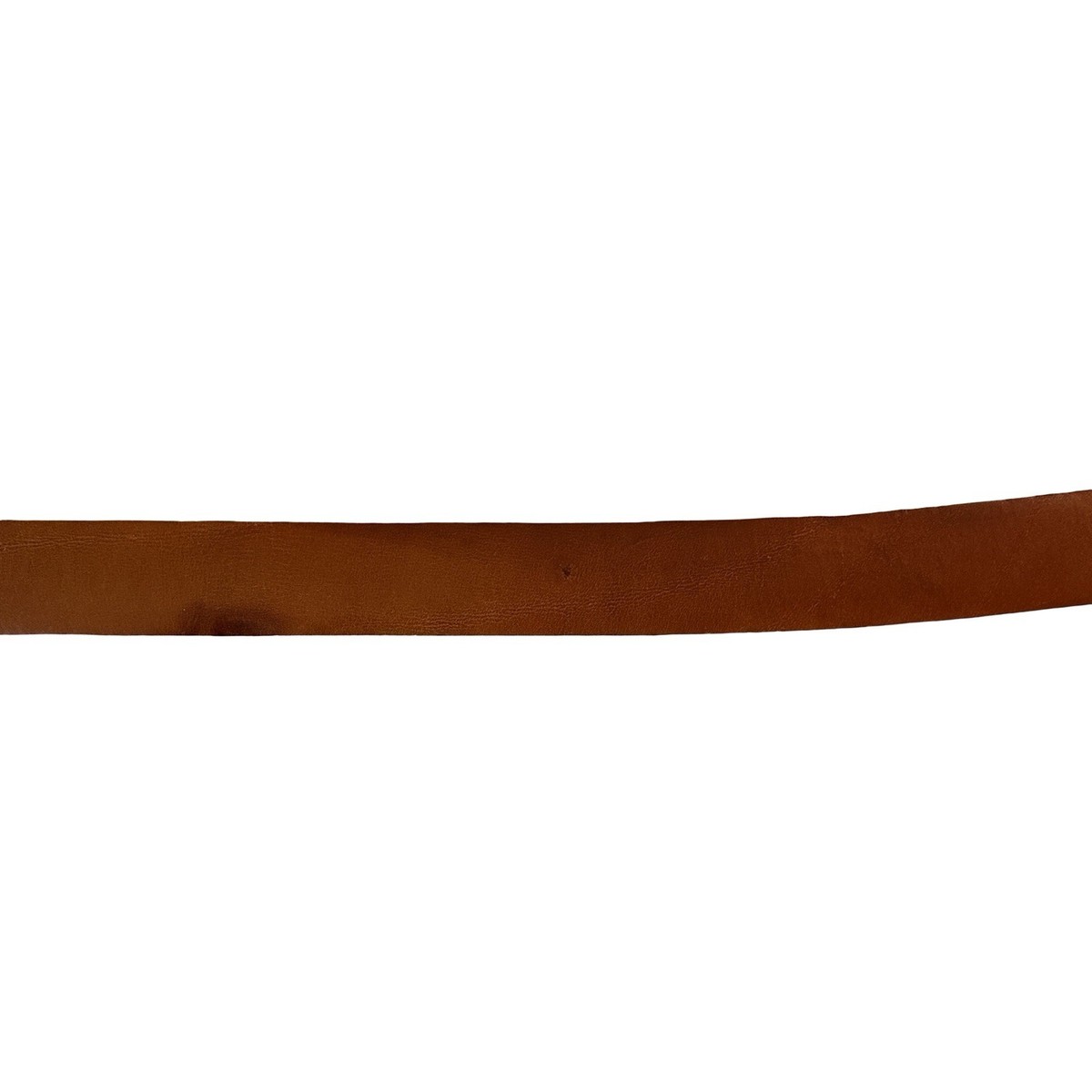 Vintage Wehmeier\'s Belt New Orleans Alligator Steer Lined Size 28- Brown 28 Size Crocodile/Alligator Belts for Women for sale | eBay main image 2