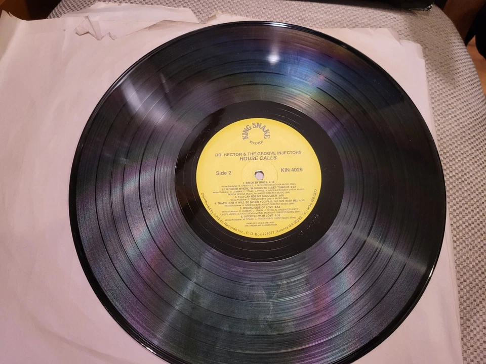 Dr. Hector & The Groove Injectors House Calls LP 1990 King Snake KIN 4029 EX/NM - Image 3 of 4