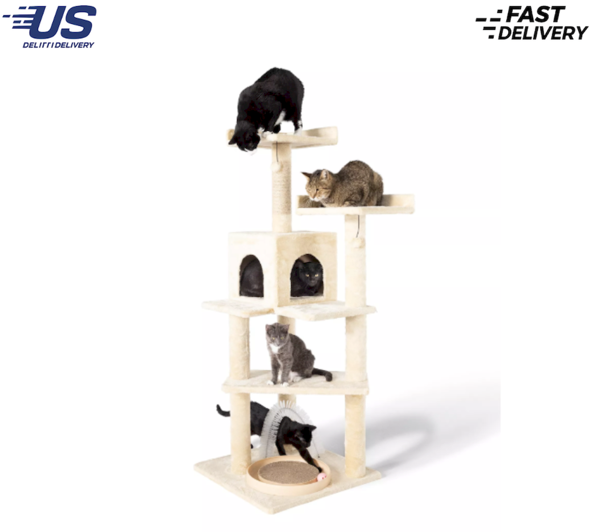 Whisker City 60-in Playbox, Ball Track with Scratcher Toys Cat