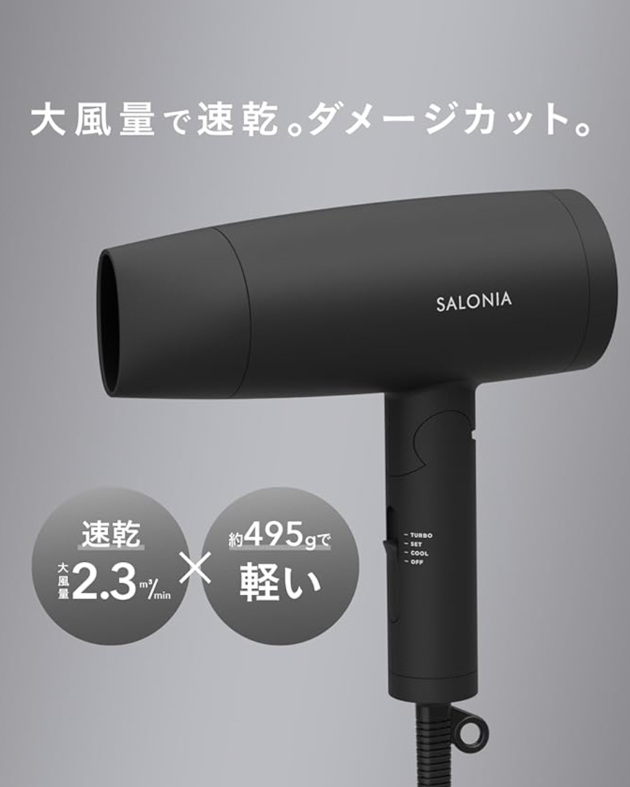 SALONIA Speedy Ion Dryer Hair Dryer Quick Drying Negative Ion SL
