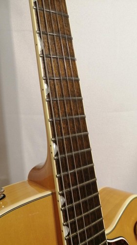 GRETSCH Stick Guitar G2420 VLAMB - Afbeelding 4 van 17