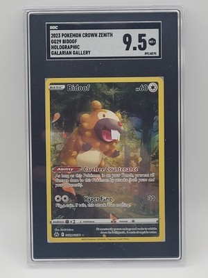 cyclizar ex pokemon card value Pokémon Cyclizar EX Collection Box – SCJ