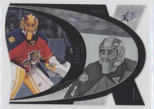 2014 SPX Roberto Luongo #31 card