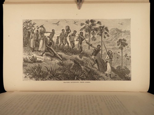 1875 AFRICA David Livingstone 1ed Last Journals Voyages African Exploration MAP - Picture 16 of 24