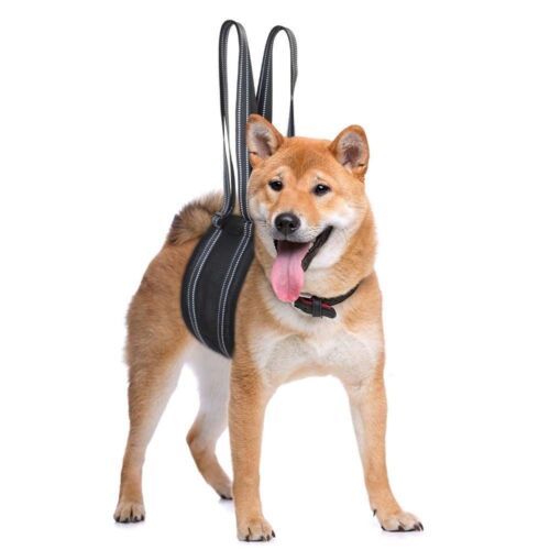 Dog Support Harness Pet Dog Auxiliary Belt Dog Recovery Sling Dog Lift Harness - Picture 5 of 14