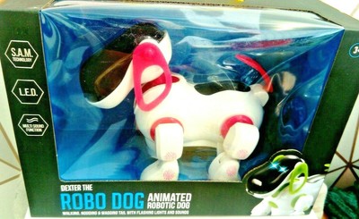 dexter the robot dog