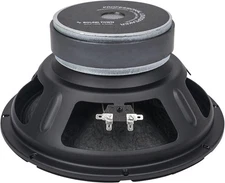 Raw Subwoofer Driver, 10" 200W