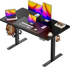 48 x 28 Large Electric Standing Desk, Height Adjustable Desk, 27.6"Deep Desktop
