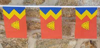 Wimpelkette Birmingham Flagge - 6 m mit 20 Fahnen