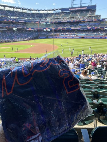 Mets Kpop demon Hunter jersey