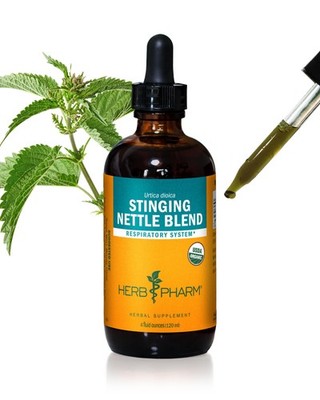 Herb Pharm Stinging Nettle Blend Liquid Extract - 4 fl oz Herbal Supplement