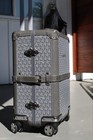 Goyard Bourget PM Trolley Case (in grey) — photo 6