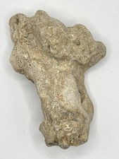 Soft-Body Invertebrate Fossil | 360° In‑the‑Round Specimen | 3D Relief | Medium