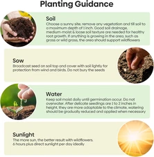 Wildflower Seeds Bulk, 1/4 lb, 100,000+ Seeds, 26 Variety Mix with Zinnia, Mi...