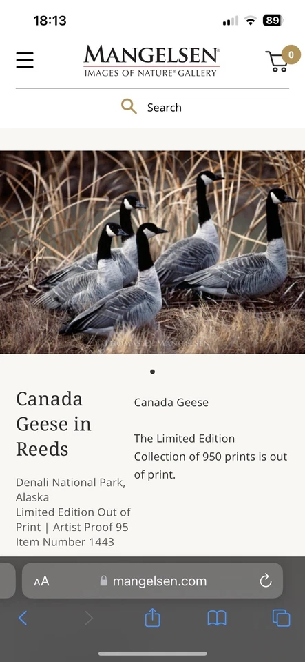 Thomas Mangelsen Canada Geese In Reeds Limited Edition Signed Numbered Print - Image 2 of 4