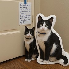 Custom 3D Dog Pillow from Photo - Personalized Pet Memorial Cat Cushion Gift