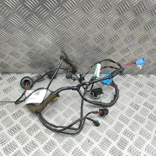 JAGUAR XK 8 Coupe X100 Front Left Door Wiring LJB3190DD 4.0 Petrol 35467882