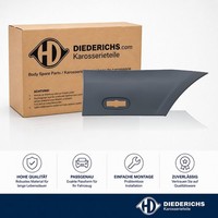 Zier Schutzleiste Seitenwand Hinten Links Diederichs 1663365 FÜR