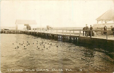 C-1910 Coca Florida Feeding Wild Ducks #15Postcard RPPC 24-11094
