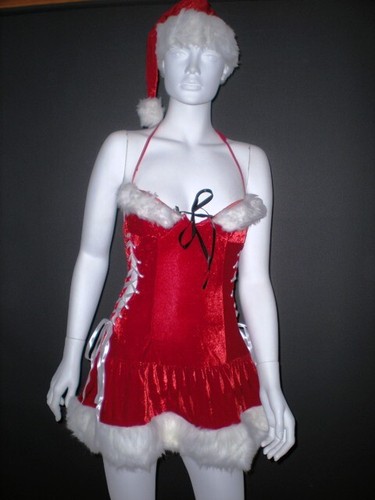 DISFRAZ DE NAVIDAD MISS SANTA CLAUS TRAJE Mujeres ELFO DAMAS Elegante Vestido 8 10 12 - Imagen 2 de 2