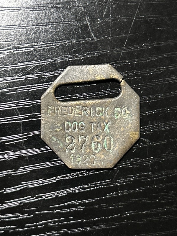 1920 FREDERICK Co Maryland MD Metal DOG LICENSE vintage Tax Tag