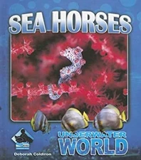 Sea Horses Hardcover Deborah Coldiron