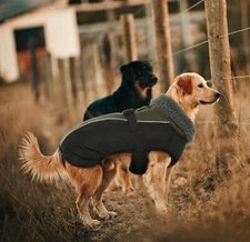 IECOii Extra Warm Dog Coat, Reflective, Adjustable, Fleece Turtleneck