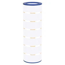 Pool Filter Compatible with CC150, Clean & Clear 150, CCRP150, PAP150, R173216,