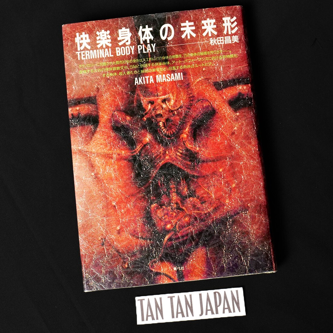 TERMINAL BODY PLAY - Masami Akita ( MERZBOW ) 1993 Japanese Avant-Garde Book
