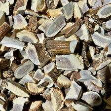 25 lbs Bulk Deer Elk Antler Scraps PIeces -Tips-Tines-Chunks -Premium Grade