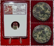 Ancient Coin PHOENICIA TYRE Swimming Hippocamp and Owl Silver 1/16 Shekel