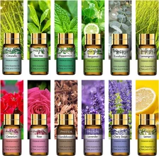 12Pcs Gift Box Pure Essential Oils for Humidifiers Diffuser Massage Spa Lavender