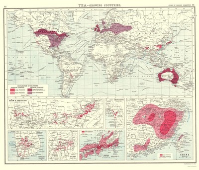 Historic Map - Global Tea Growing Countries - Bartholomew 1907 - Vintage Wall