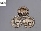 1913+1913-D+1913-S Buffalo Nickel Set/Lot ~ Type 1 ~ ZBL49