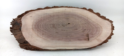 Black Walnut Live-edge Cookie, 1'' x 11 1/2'' x 24 1/2''