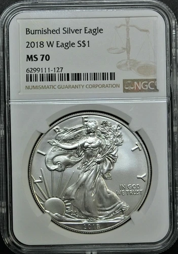 2018 W BURNISHED SILVER 1 $ EAGLE NGC MS70 CLASSIC BROWN LABEL ⭐ 167 ⭐ V3 ⭐
